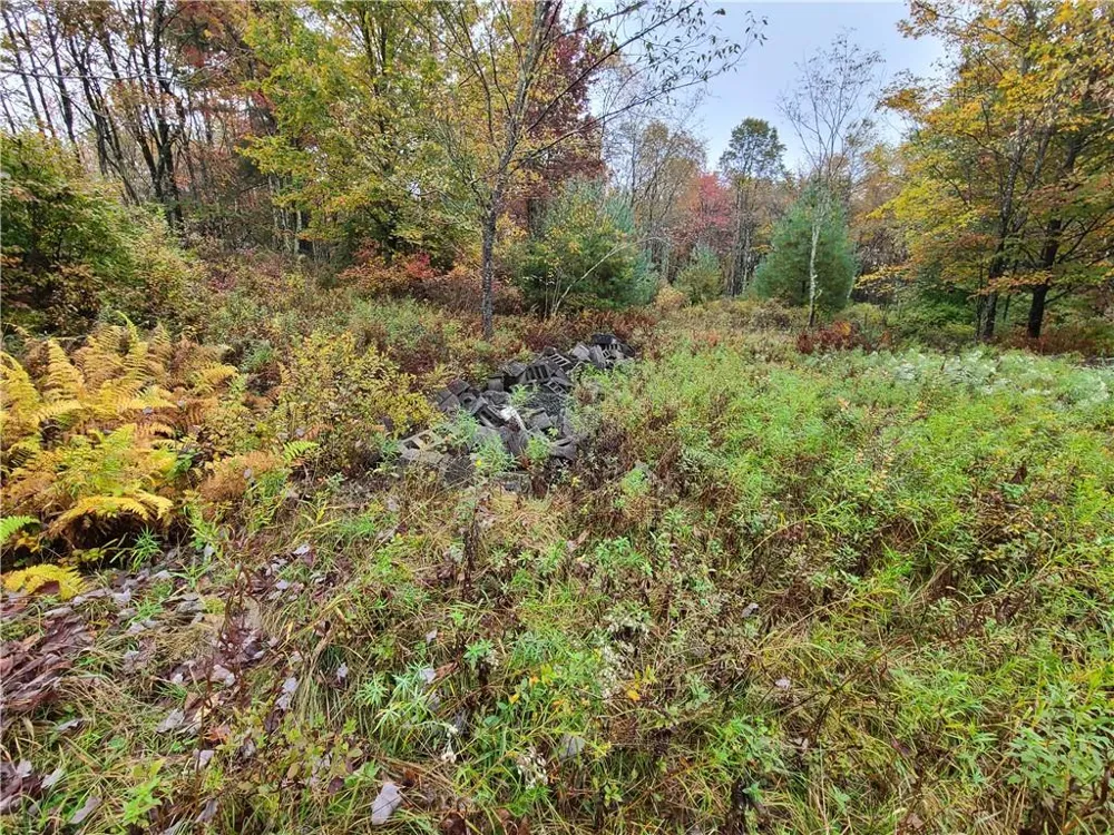 116 Voss Road Claryville, NY 12725