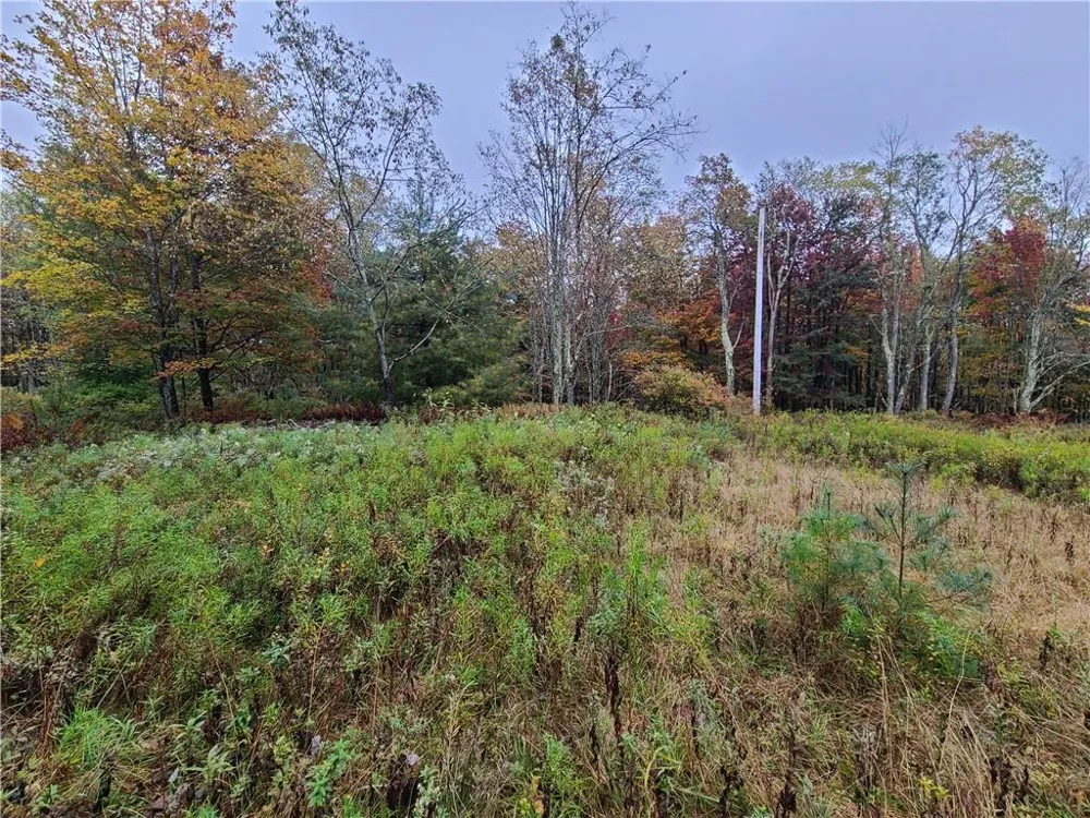 116 Voss Road Claryville, NY 12725