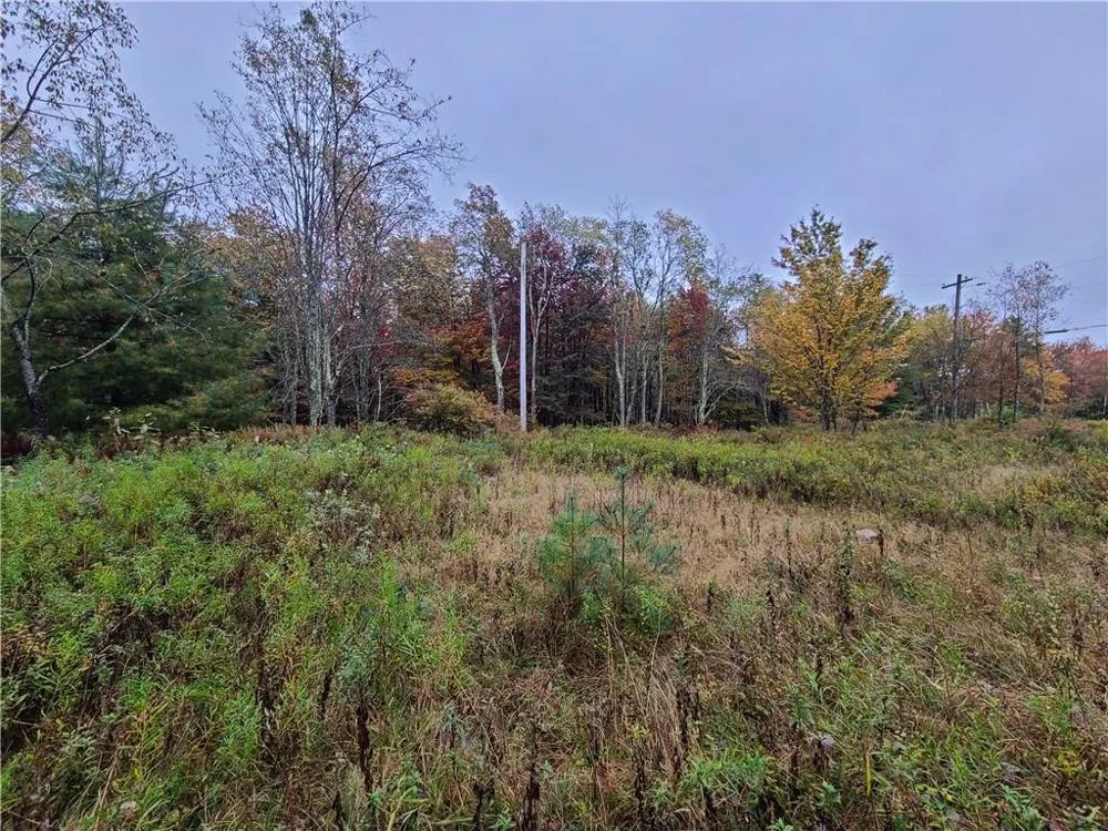 116 Voss Road Claryville, NY 12725