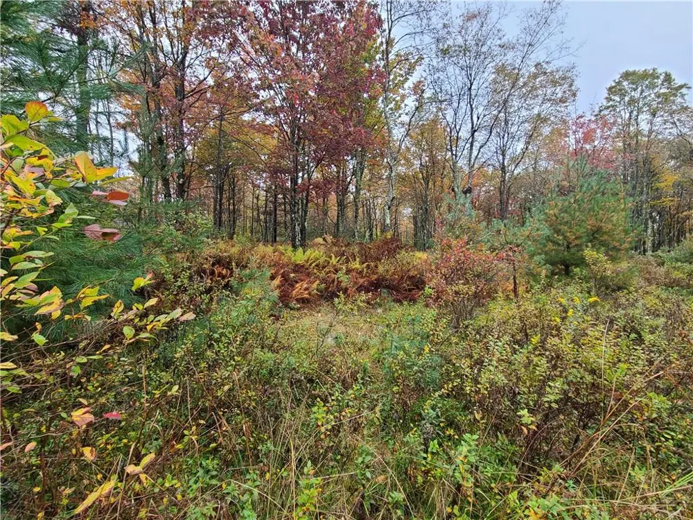 116 Voss Road Claryville, NY 12725