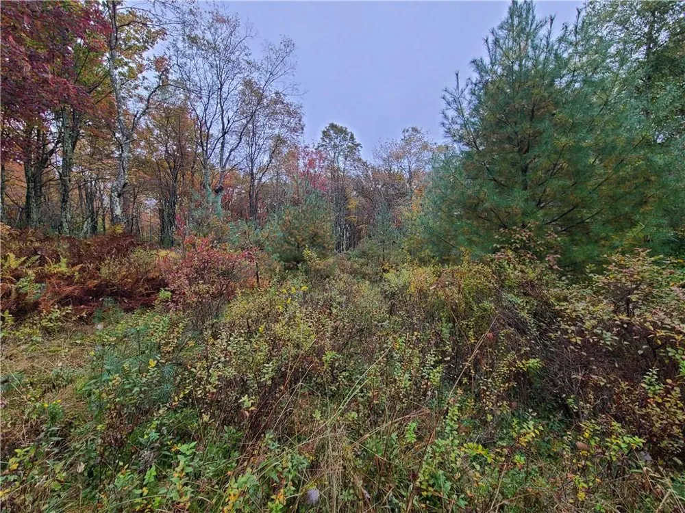 116 Voss Road Claryville, NY 12725