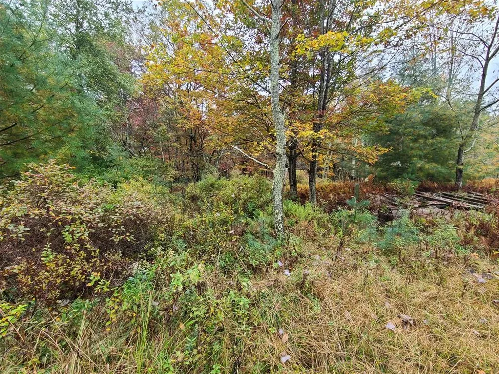 116 Voss Road Claryville, NY 12725