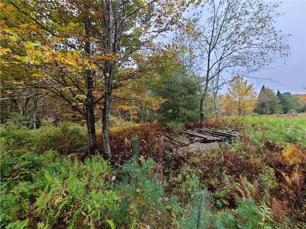 116 Voss Road Claryville, NY 12725