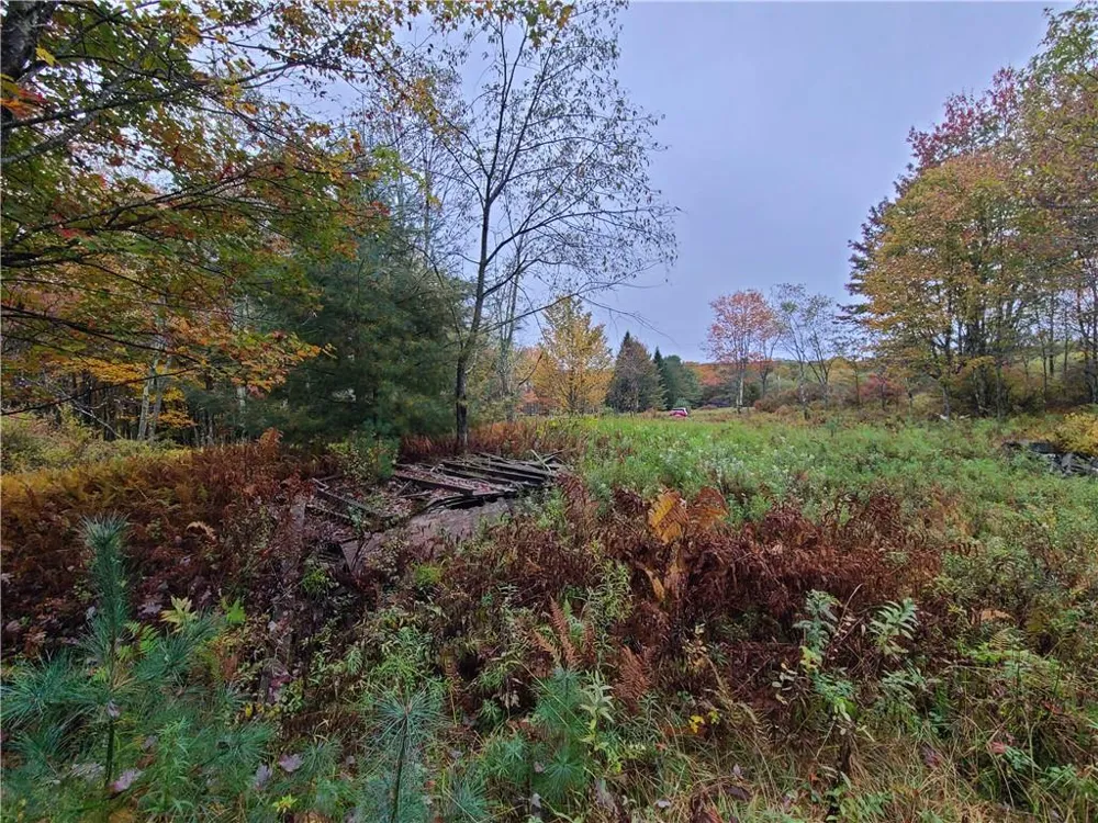 116 Voss Road Claryville, NY 12725