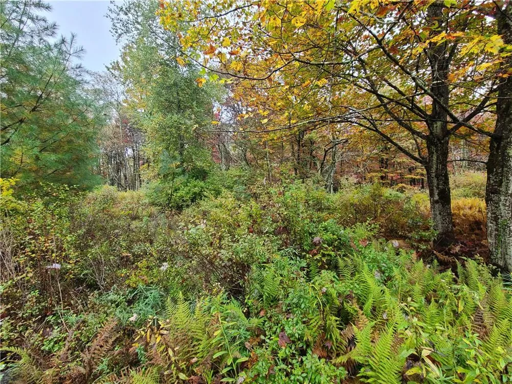 116 Voss Road Claryville, NY 12725
