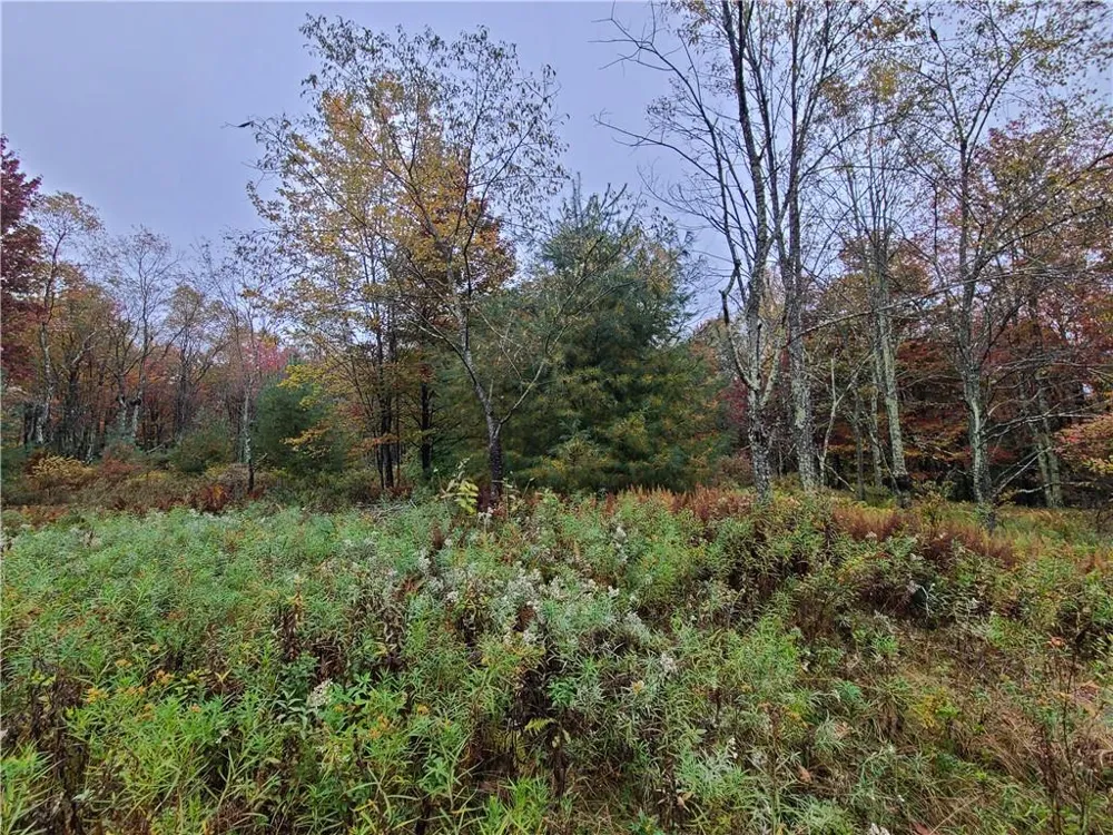 116 Voss Road Claryville, NY 12725
