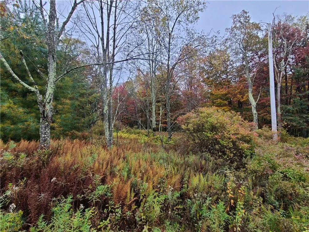 116 Voss Road Claryville, NY 12725