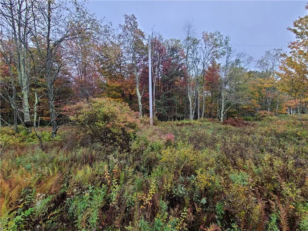 116 Voss Road Claryville, NY 12725