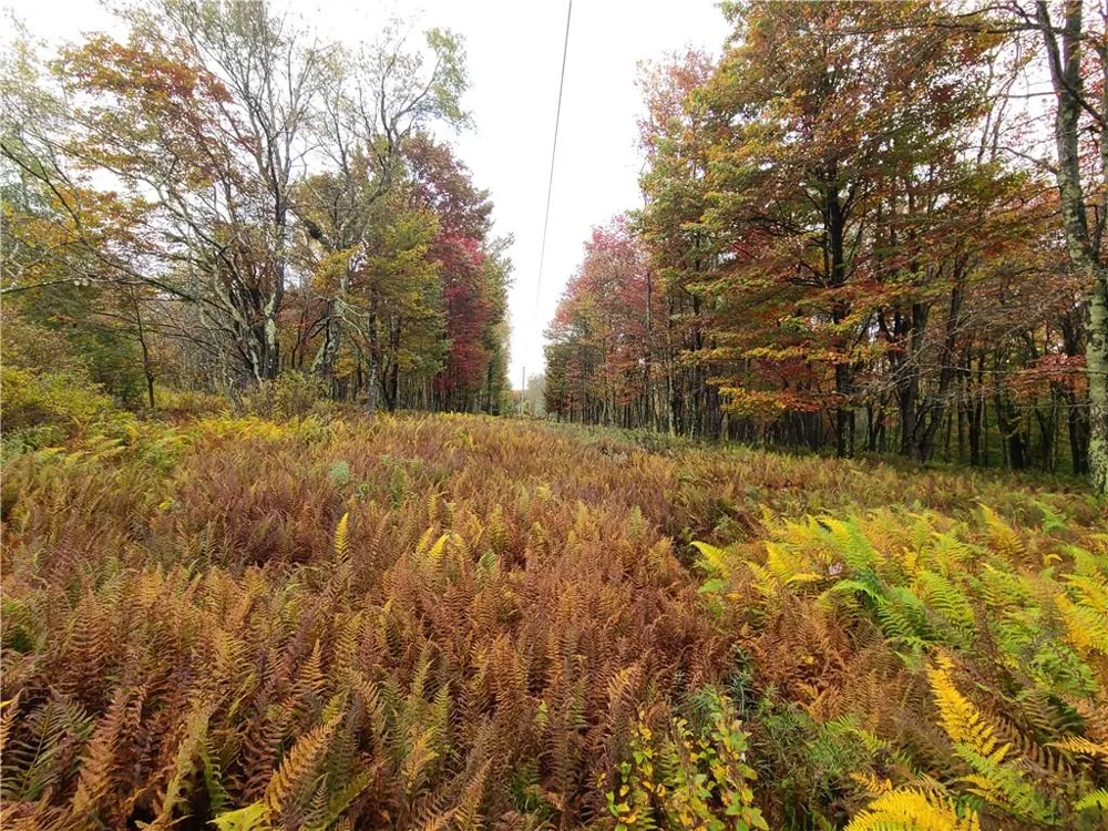 116 Voss Road Claryville, NY 12725