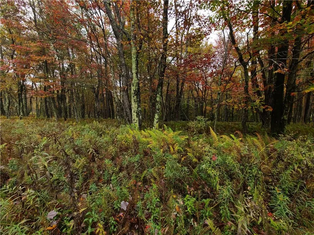 116 Voss Road Claryville, NY 12725