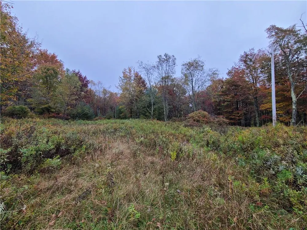 116 Voss Road Claryville, NY 12725