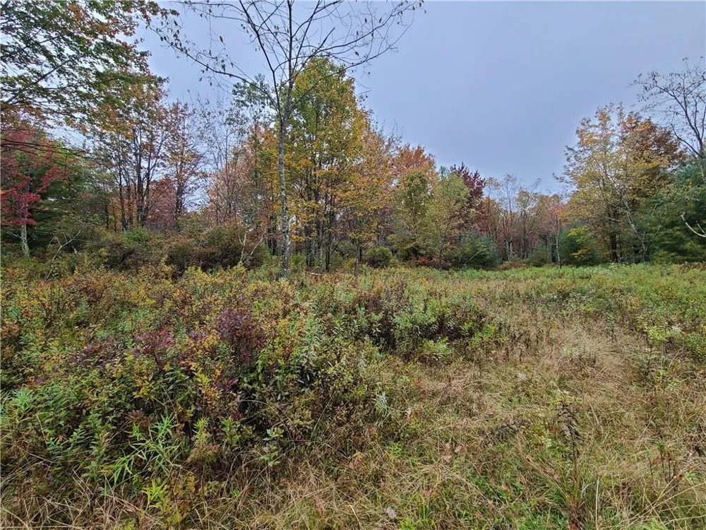 116 Voss Road Claryville, NY 12725
