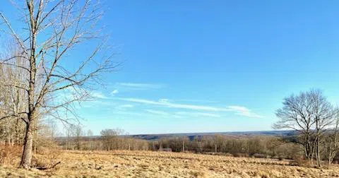 301 & 305 Hust Jeffersonville, NY 12748