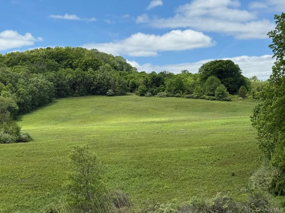 Woodward Hill,Stissng Mount, Hicks Hill, Route 199 Pine Plains, NY 12567