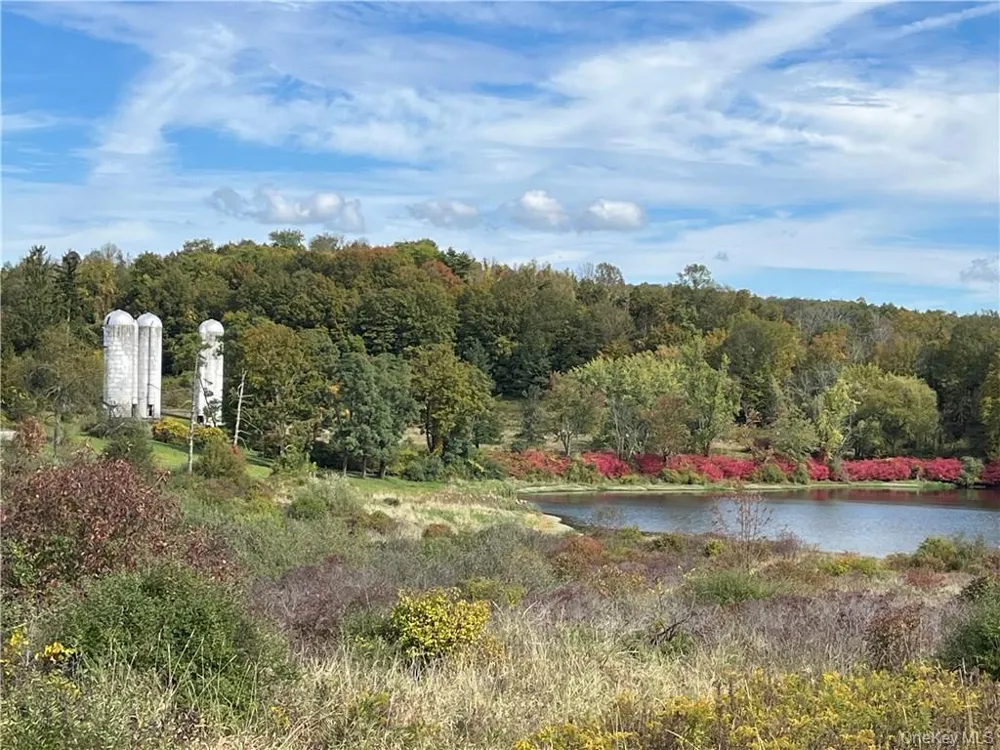 Woodward Hill,Stissng Mount, Hicks Hill, Route 199 Pine Plains, NY 12567
