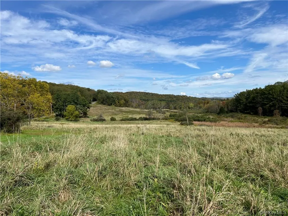 Woodward Hill,Stissng Mount, Hicks Hill, Route 199 Pine Plains, NY 12567