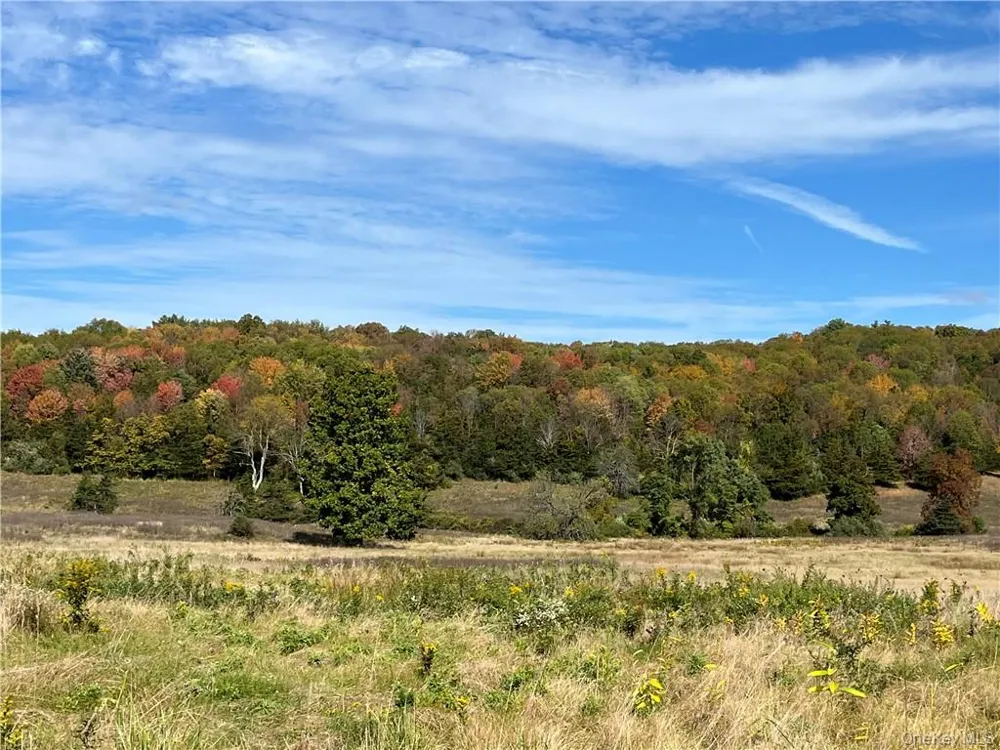 Woodward Hill,Stissng Mount, Hicks Hill, Route 199 Pine Plains, NY 12567