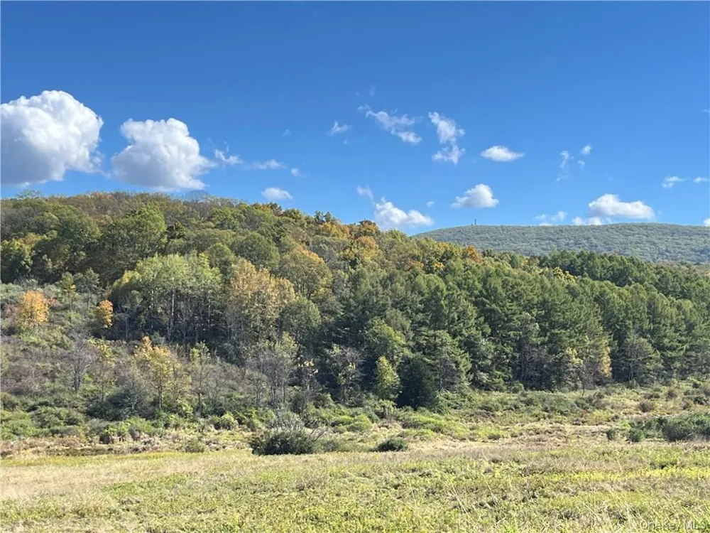 Woodward Hill,Stissng Mount, Hicks Hill, Route 199 Pine Plains, NY 12567