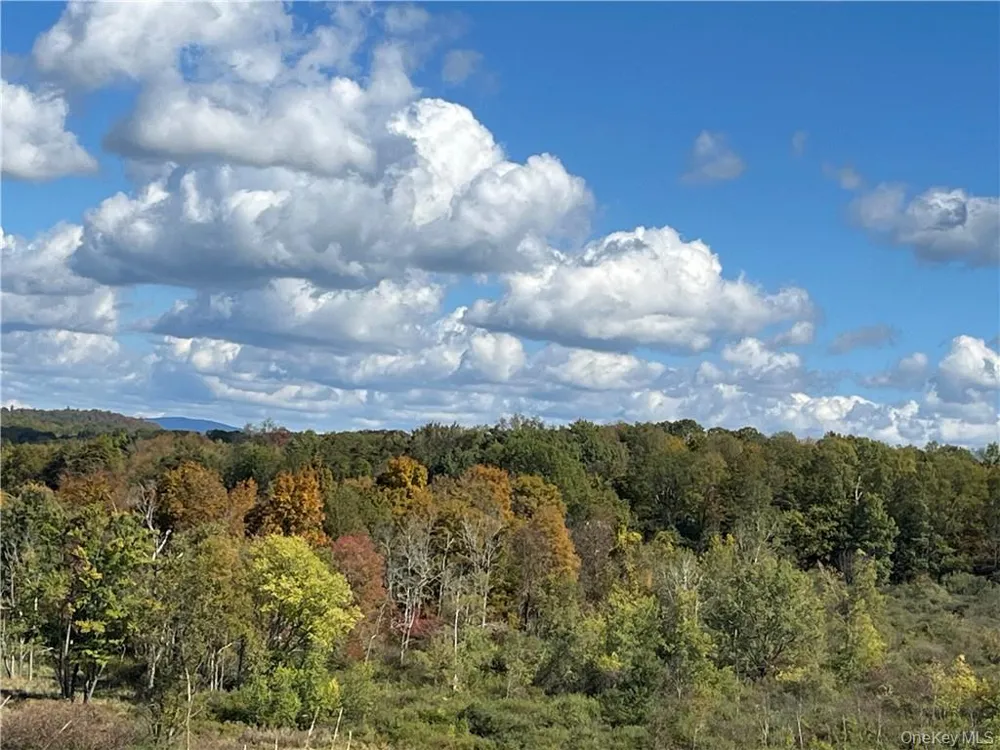 Woodward Hill,Stissng Mount, Hicks Hill, Route 199 Pine Plains, NY 12567