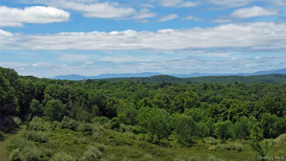 Woodward Hill,Stissng Mount, Hicks Hill, Route 199 Pine Plains, NY 12567