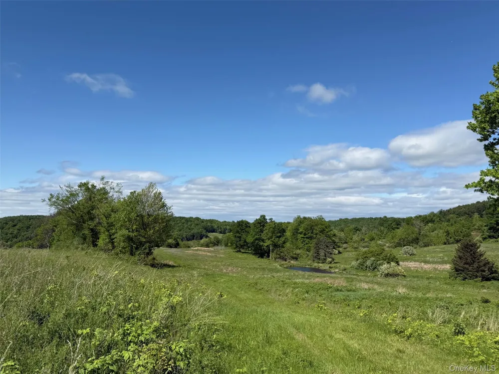 Woodward Hill,Stissng Mount, Hicks Hill, Route 199 Pine Plains, NY 12567