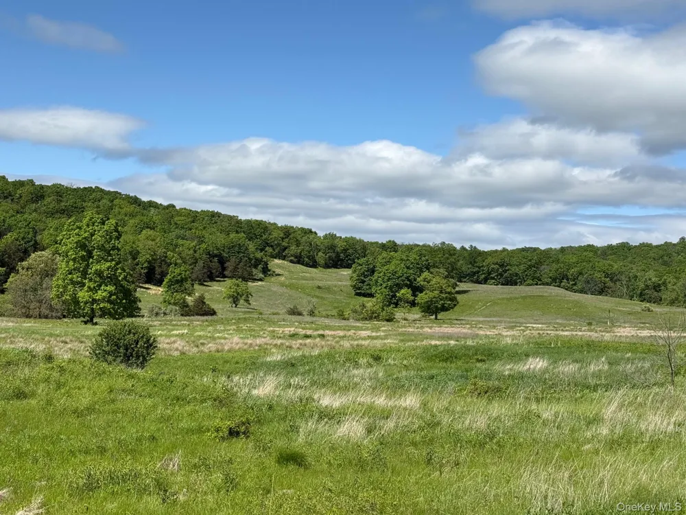 Woodward Hill,Stissng Mount, Hicks Hill, Route 199 Pine Plains, NY 12567