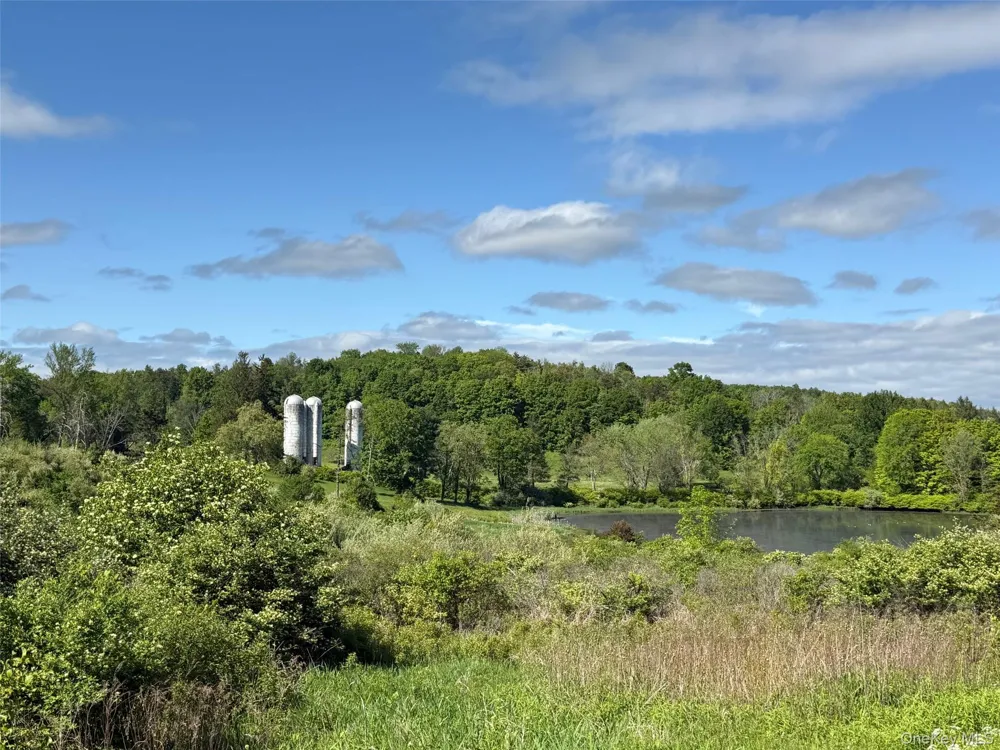 Woodward Hill,Stissng Mount, Hicks Hill, Route 199 Pine Plains, NY 12567