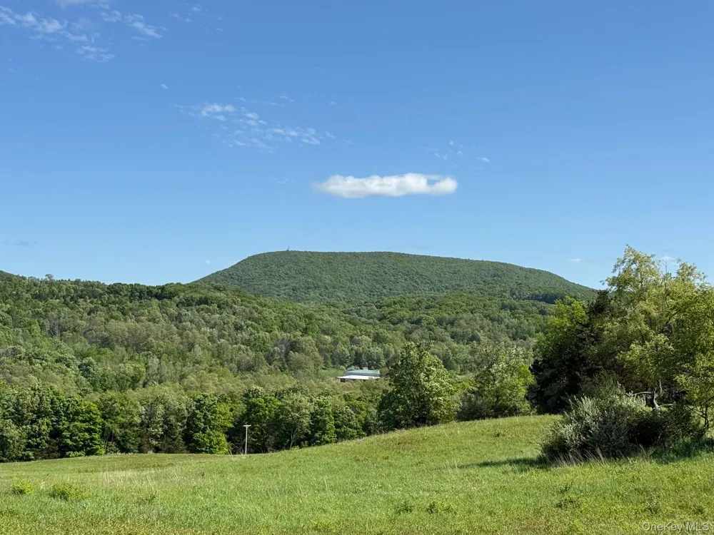 Woodward Hill,Stissng Mount, Hicks Hill, Route 199 Pine Plains, NY 12567
