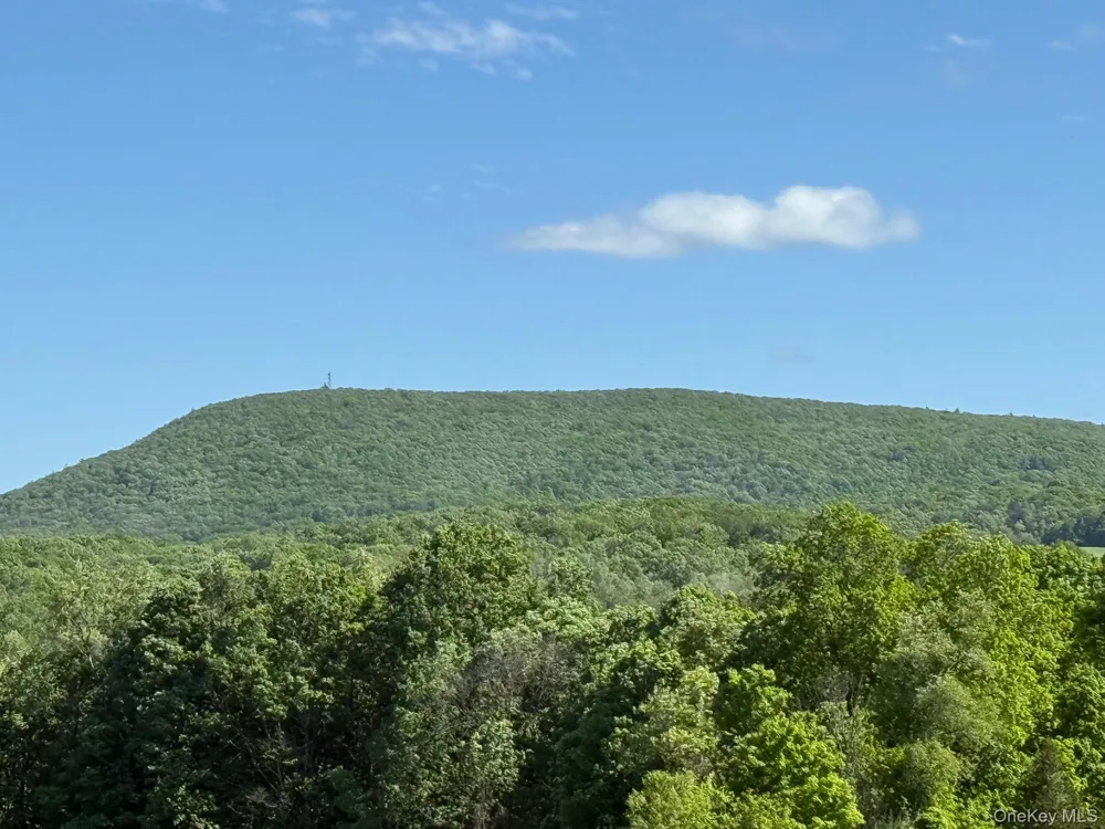Woodward Hill,Stissng Mount, Hicks Hill, Route 199 Pine Plains, NY 12567