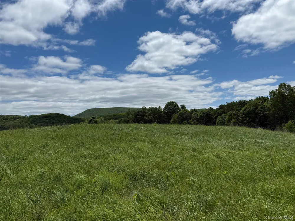 Woodward Hill,Stissng Mount, Hicks Hill, Route 199 Pine Plains, NY 12567