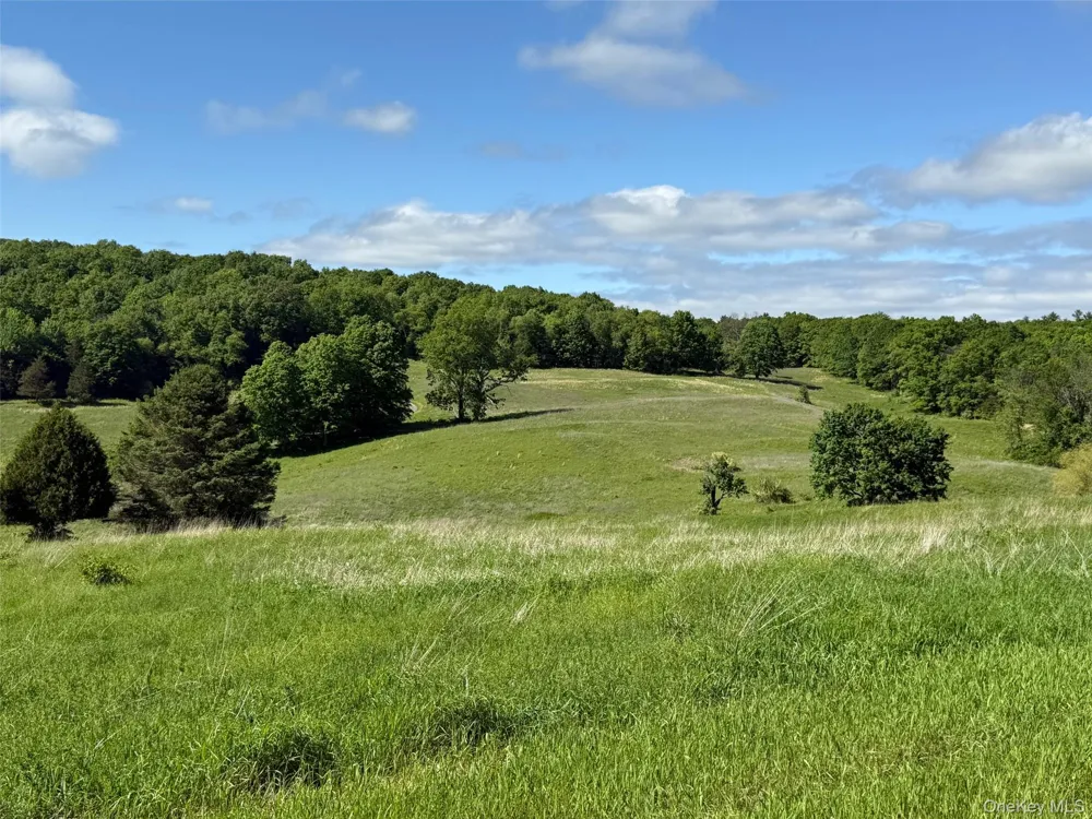 Woodward Hill,Stissng Mount, Hicks Hill, Route 199 Pine Plains, NY 12567