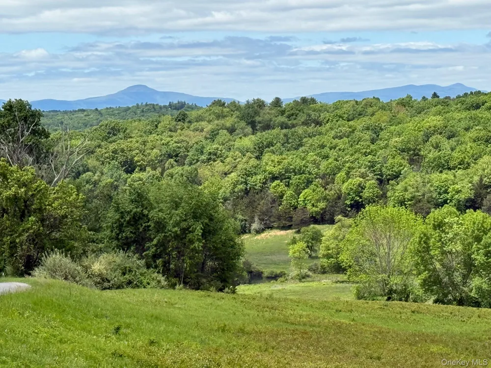 Woodward Hill,Stissng Mount, Hicks Hill, Route 199 Pine Plains, NY 12567
