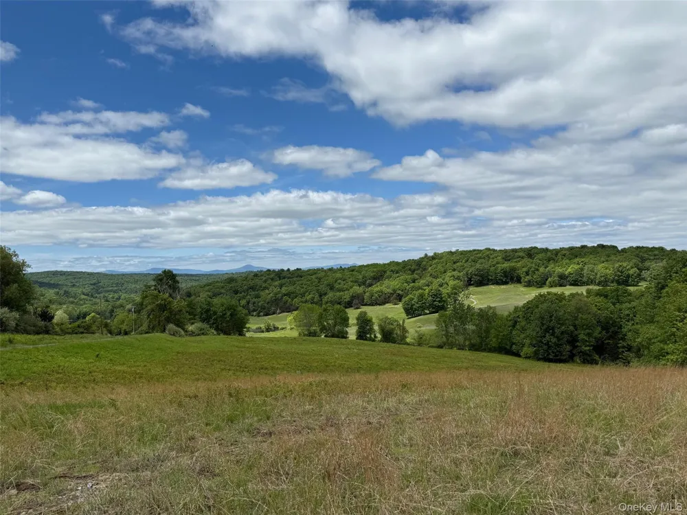 Woodward Hill,Stissng Mount, Hicks Hill, Route 199 Pine Plains, NY 12567