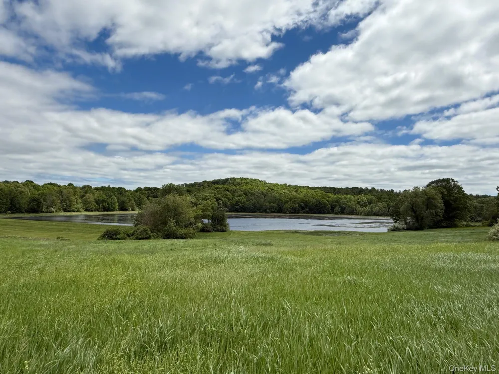Woodward Hill,Stissng Mount, Hicks Hill, Route 199 Pine Plains, NY 12567