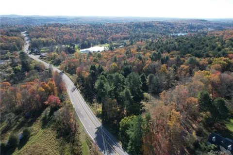 1195 NYS Route 17B