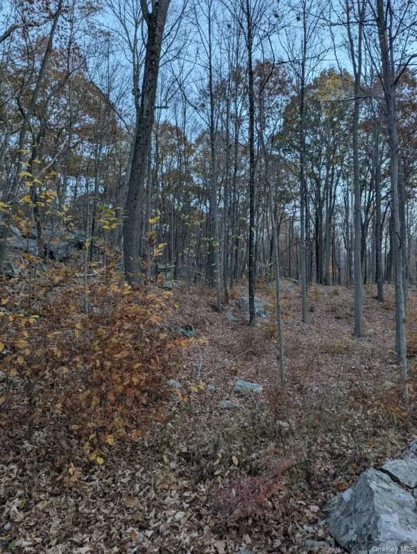 250 Hortontown Road Hopewell Junction, NY 12533