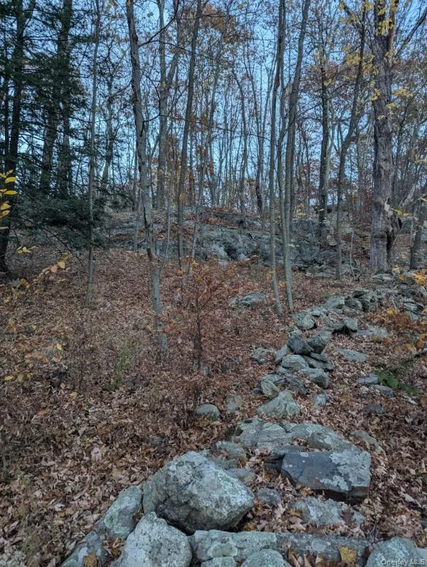 250 Hortontown Road Hopewell Junction, NY 12533