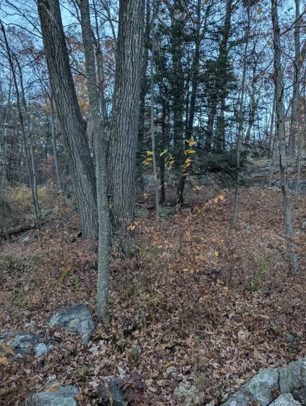 250 Hortontown Road Hopewell Junction, NY 12533
