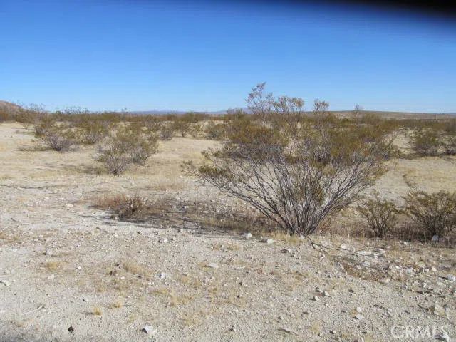 4004 Le Conte California City, CA 93505