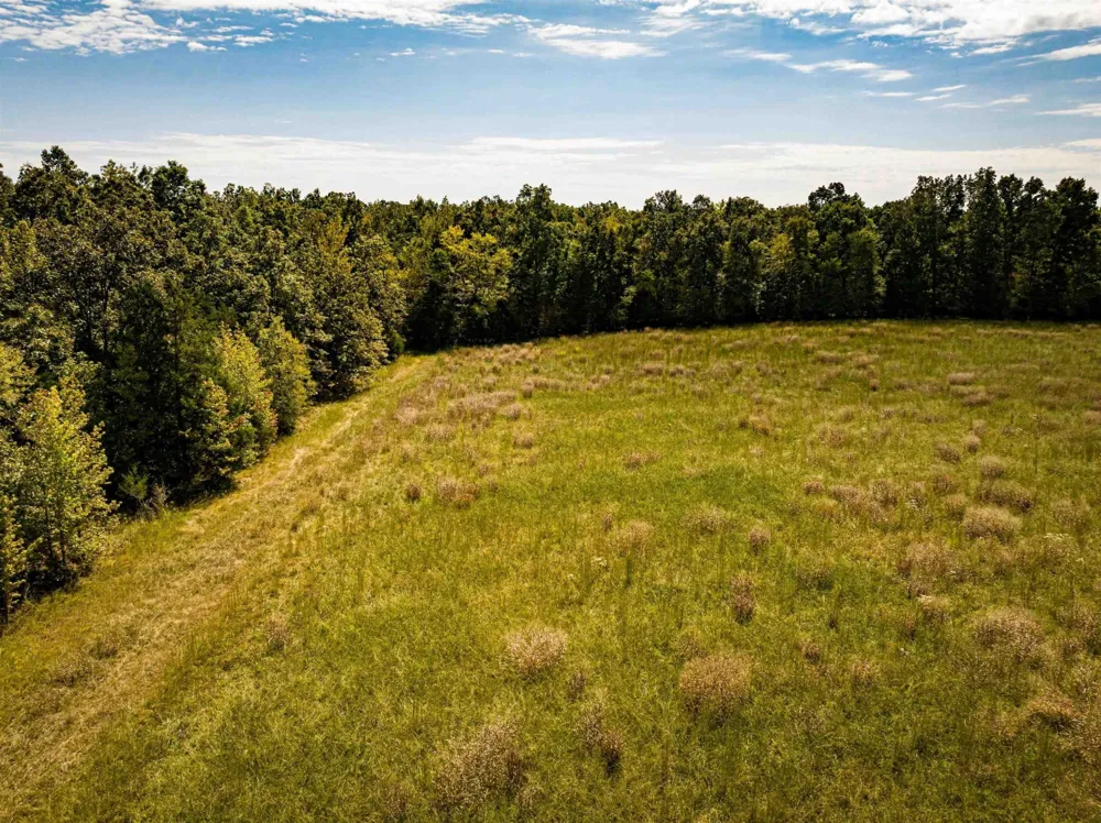 2642 Brodies Landing Rd Parsons, TN 38363