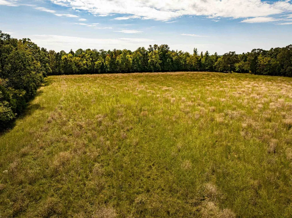 2642 Brodies Landing Rd Parsons, TN 38363