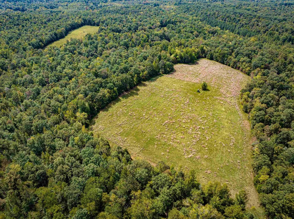 2642 Brodies Landing Rd Parsons, TN 38363