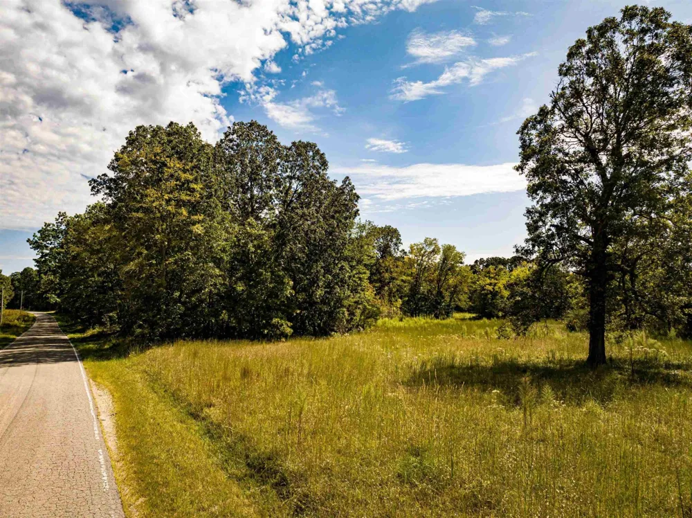 2642 Brodies Landing Rd Parsons, TN 38363