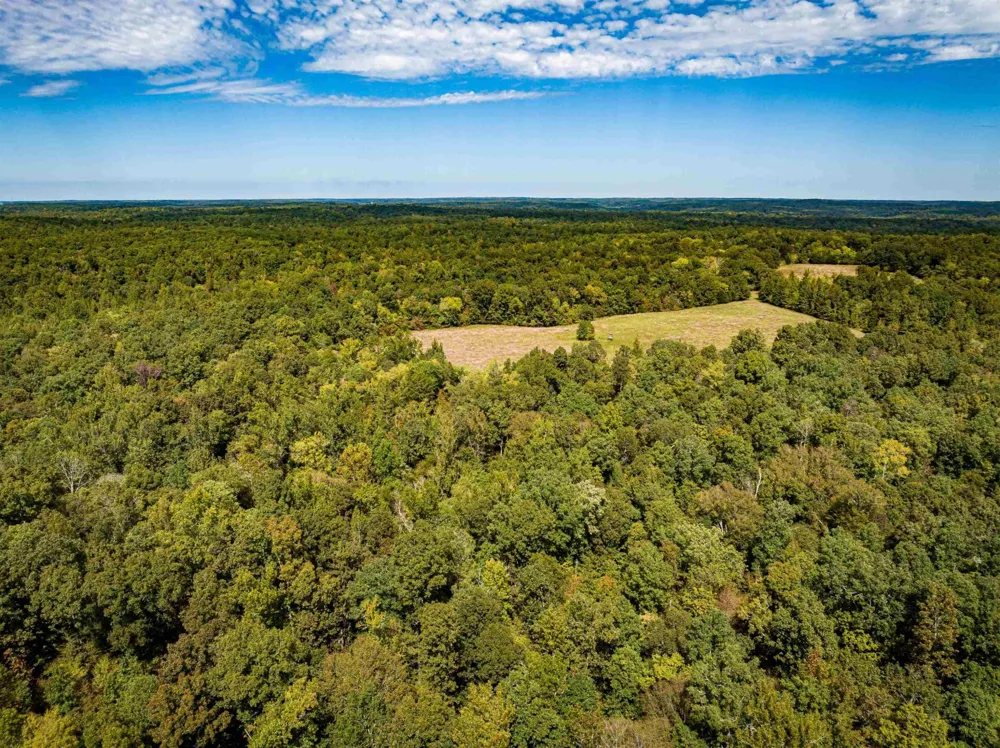 2642 Brodies Landing Rd Parsons, TN 38363