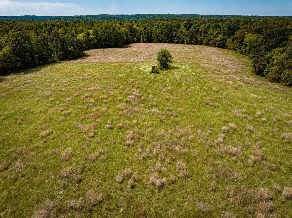 2642 Brodies Landing Rd Parsons, TN 38363