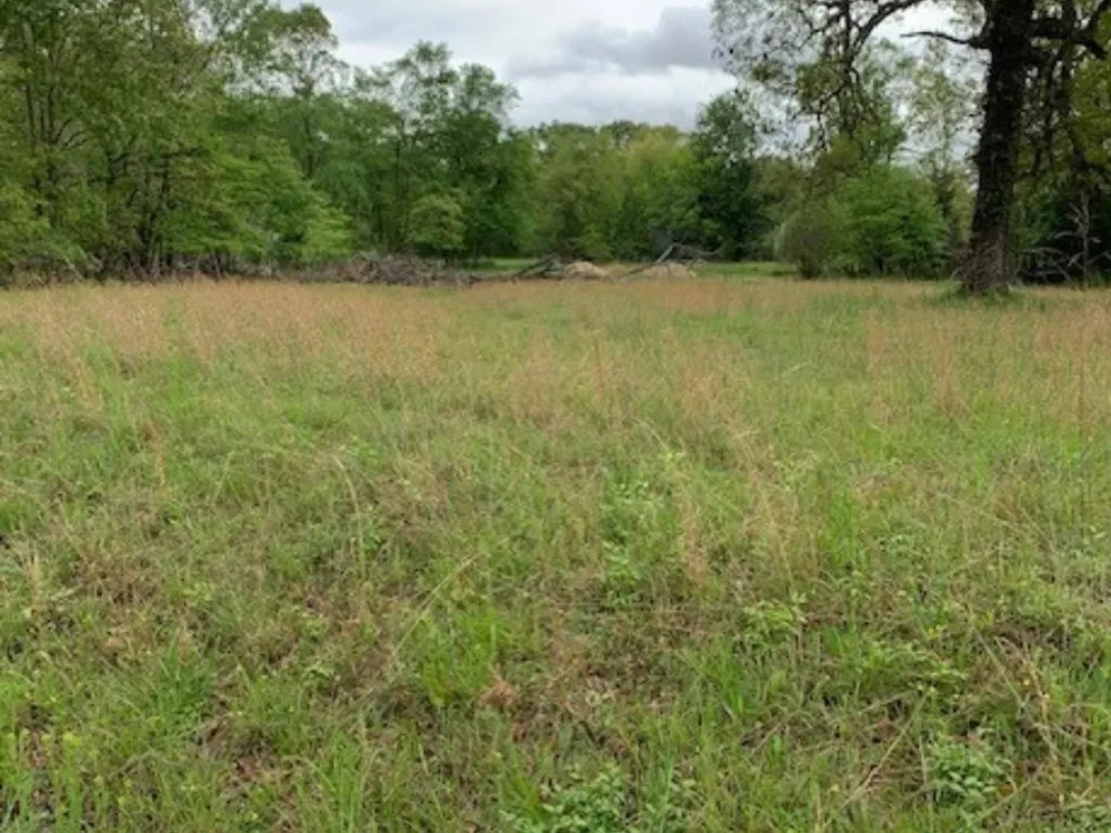 2642 Brodies Landing Rd Parsons, TN 38363