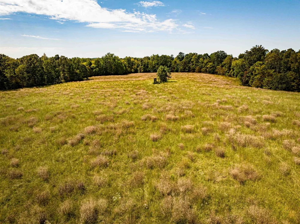 2642 Brodies Landing Rd Parsons, TN 38363