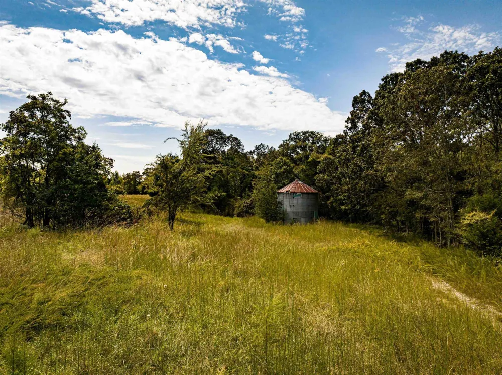 2642 Brodies Landing Rd Parsons, TN 38363