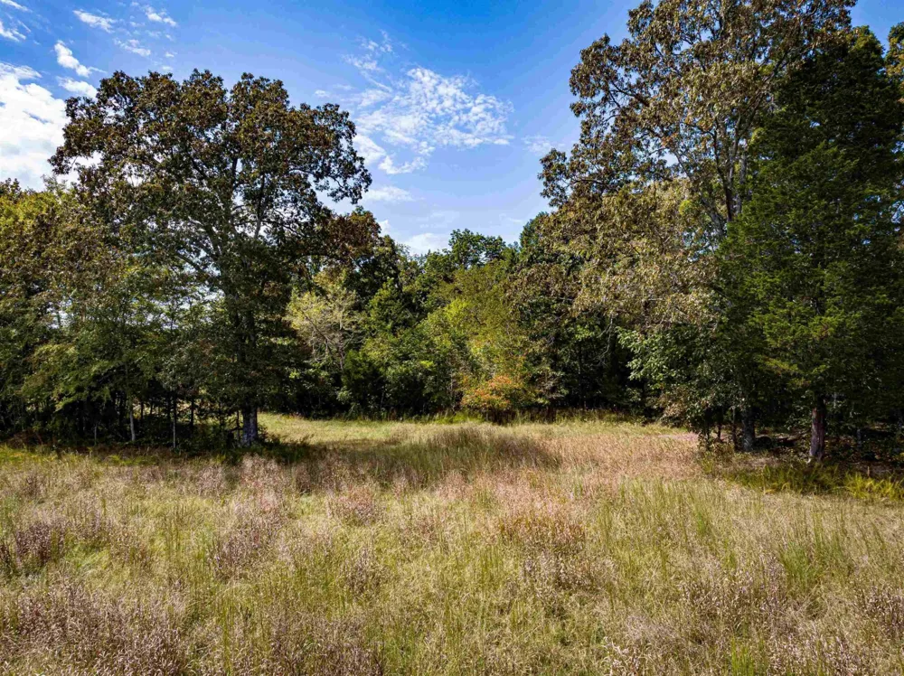 2642 Brodies Landing Rd Parsons, TN 38363