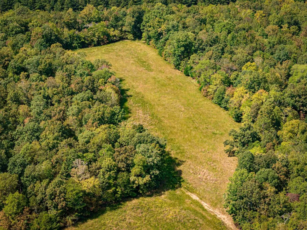 2642 Brodies Landing Rd Parsons, TN 38363